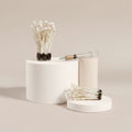 Enoki Liquid Culture