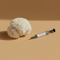 Lion's Mane Liquid Culture